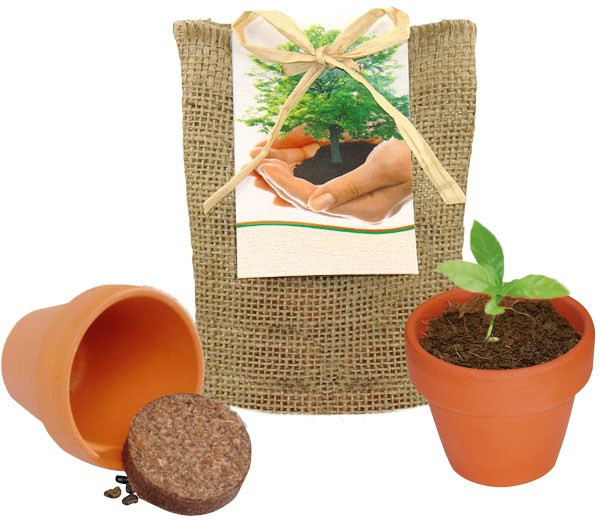 Pflanze Deinen Baum kleines Natur-Säckchen, Robinie, 1-4 c Digitaldruck inklusive